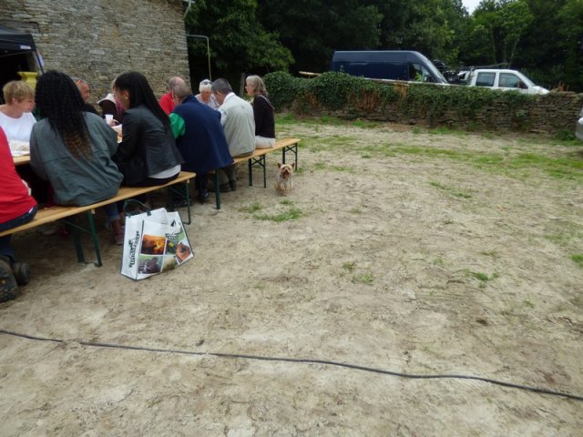 074 Week-end du cheval-Concours Attelage à La Forêt Fouesnant 9-10 juillet 2016