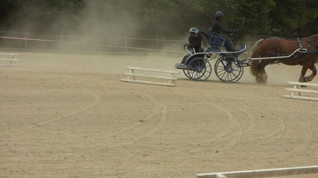 074 Week-end du cheval-Concours Attelage à La Forêt Fouesnant 9-10 juillet 2016