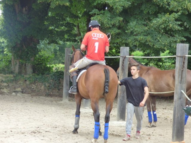 074 Week-end du cheval-Concours Attelage à La Forêt Fouesnant 9-10 juillet 2016