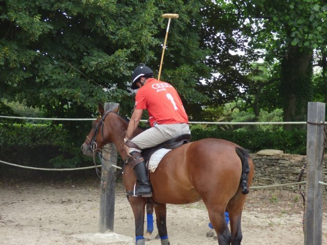 074 Week-end du cheval-Concours Attelage à La Forêt Fouesnant 9-10 juillet 2016