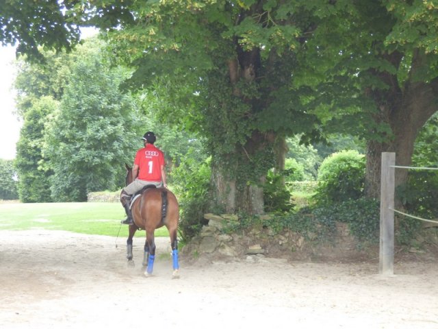 074 Week-end du cheval-Concours Attelage à La Forêt Fouesnant 9-10 juillet 2016