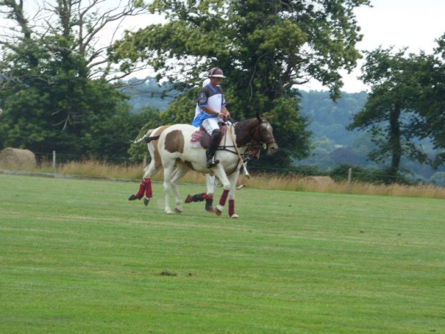074 Week-end du cheval-Concours Attelage à La Forêt Fouesnant 9-10 juillet 2016