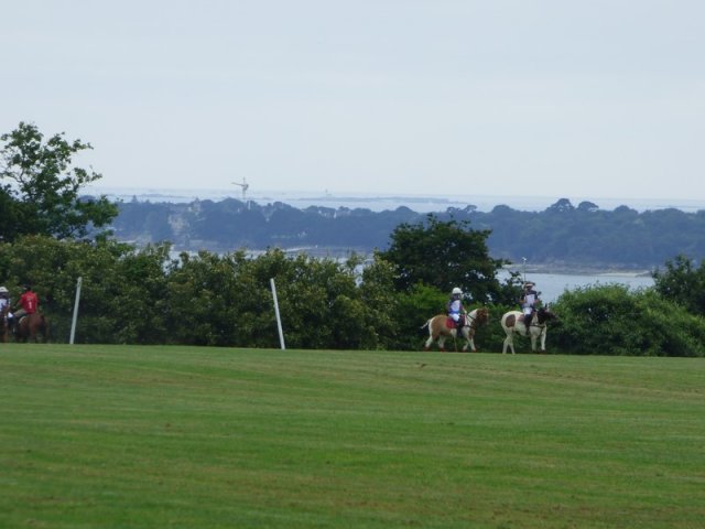 074 Week-end du cheval-Concours Attelage à La Forêt Fouesnant 9-10 juillet 2016