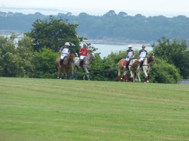 074 Week-end du cheval-Concours Attelage à La Forêt Fouesnant 9-10 juillet 2016