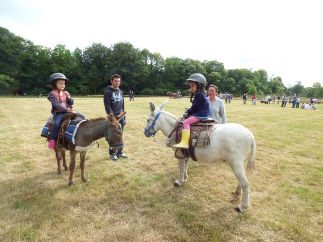074 Week-end du cheval-Concours Attelage à La Forêt Fouesnant 9-10 juillet 2016