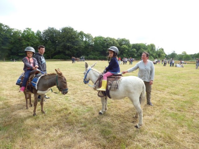 074 Week-end du cheval-Concours Attelage à La Forêt Fouesnant 9-10 juillet 2016