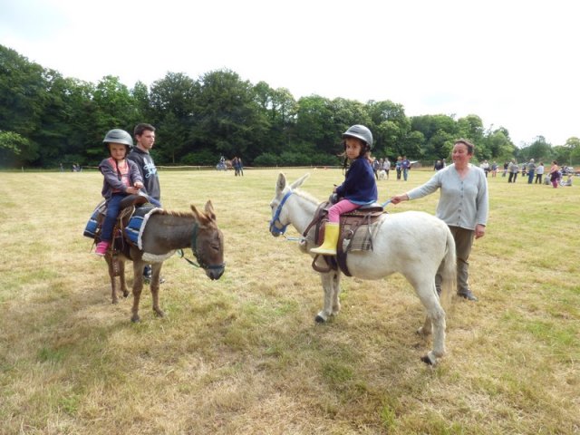 074 Week-end du cheval-Concours Attelage à La Forêt Fouesnant 9-10 juillet 2016