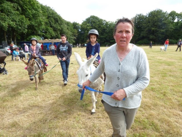 074 Week-end du cheval-Concours Attelage à La Forêt Fouesnant 9-10 juillet 2016