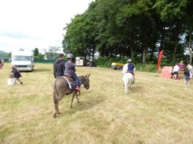 074 Week-end du cheval-Concours Attelage à La Forêt Fouesnant 9-10 juillet 2016