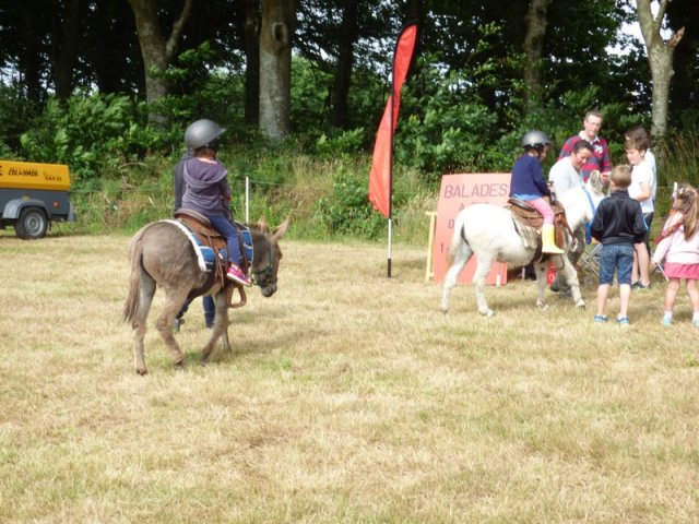 074 Week-end du cheval-Concours Attelage à La Forêt Fouesnant 9-10 juillet 2016