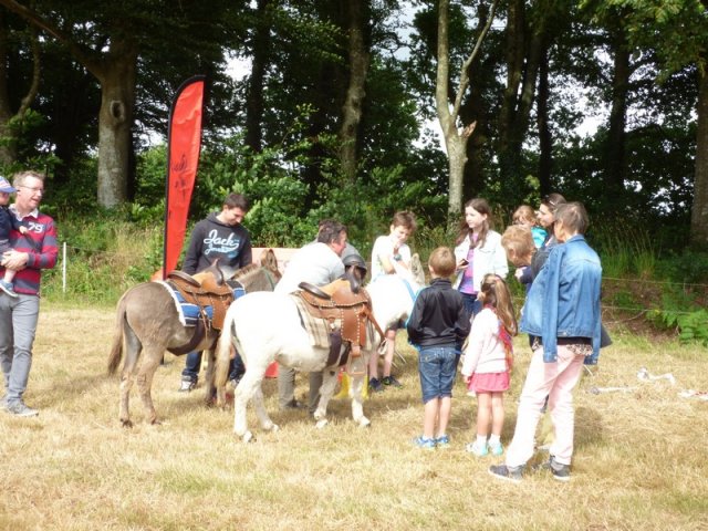 074 Week-end du cheval-Concours Attelage à La Forêt Fouesnant 9-10 juillet 2016