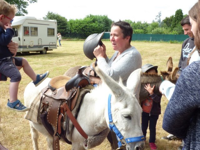 074 Week-end du cheval-Concours Attelage à La Forêt Fouesnant 9-10 juillet 2016
