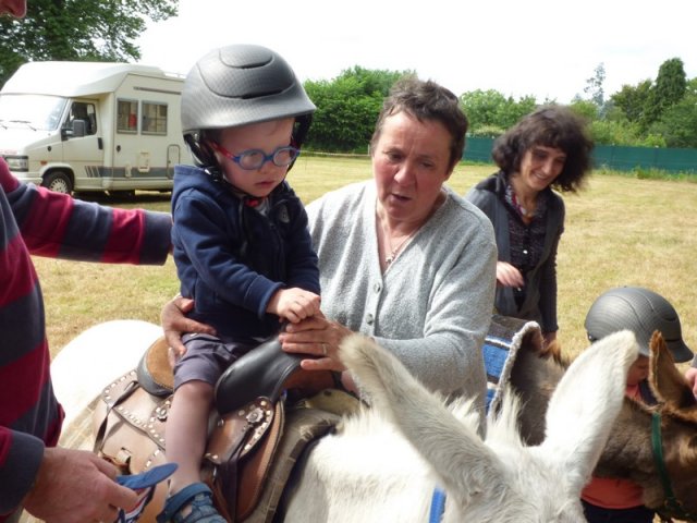 074 Week-end du cheval-Concours Attelage à La Forêt Fouesnant 9-10 juillet 2016