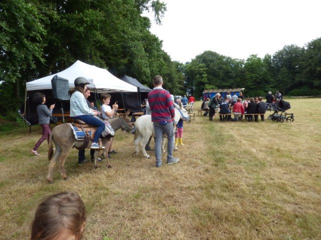 074 Week-end du cheval-Concours Attelage à La Forêt Fouesnant 9-10 juillet 2016