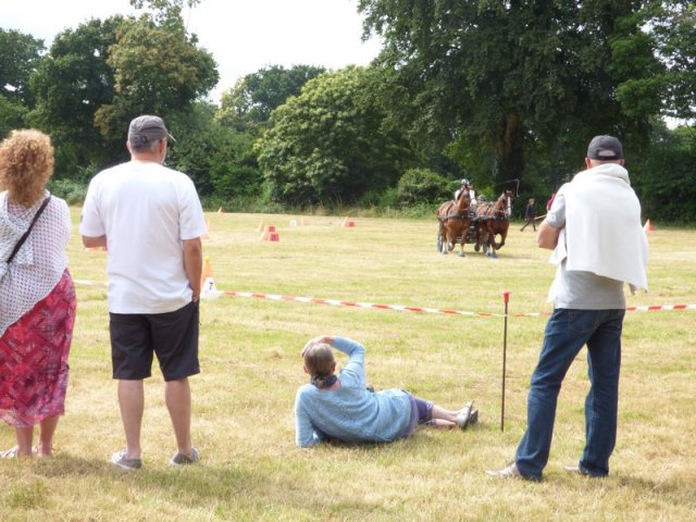 074 Week-end du cheval-Concours Attelage à La Forêt Fouesnant 9-10 juillet 2016