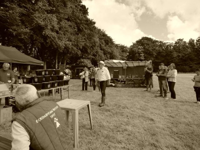 074 Week-end du cheval-Concours Attelage à La Forêt Fouesnant 9-10 juillet 2016