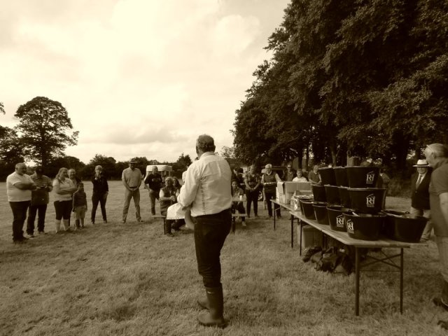 074 Week-end du cheval-Concours Attelage à La Forêt Fouesnant 9-10 juillet 2016