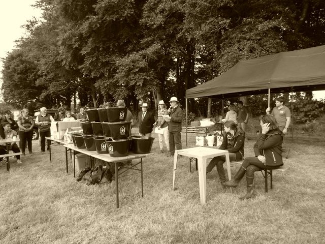 074 Week-end du cheval-Concours Attelage à La Forêt Fouesnant 9-10 juillet 2016