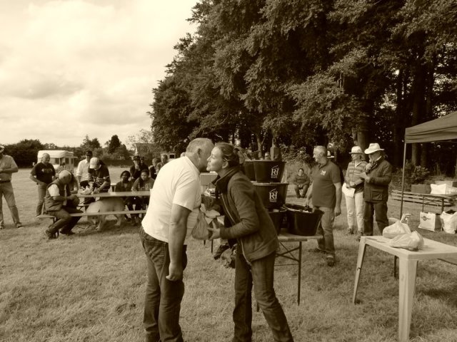074 Week-end du cheval-Concours Attelage à La Forêt Fouesnant 9-10 juillet 2016