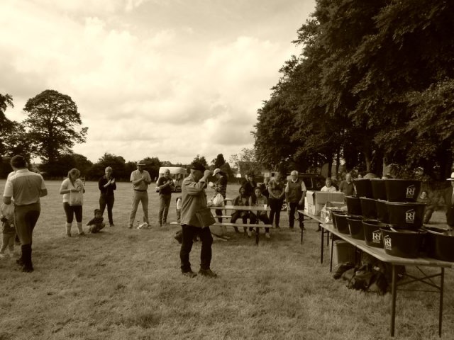 074 Week-end du cheval-Concours Attelage à La Forêt Fouesnant 9-10 juillet 2016