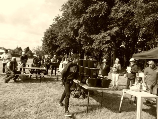 074 Week-end du cheval-Concours Attelage à La Forêt Fouesnant 9-10 juillet 2016