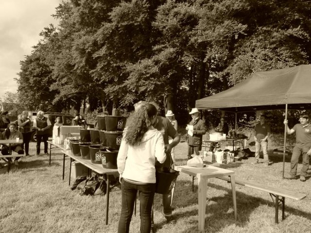 074 Week-end du cheval-Concours Attelage à La Forêt Fouesnant 9-10 juillet 2016