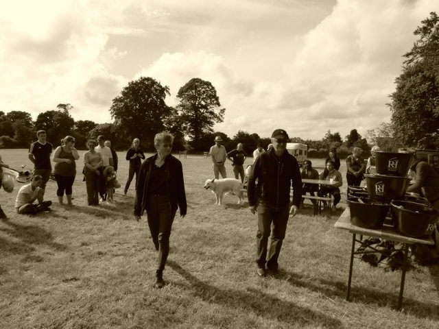 074 Week-end du cheval-Concours Attelage à La Forêt Fouesnant 9-10 juillet 2016