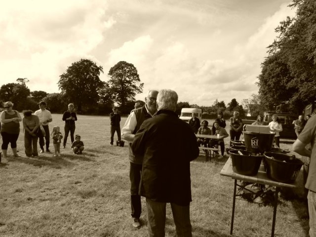 074 Week-end du cheval-Concours Attelage à La Forêt Fouesnant 9-10 juillet 2016
