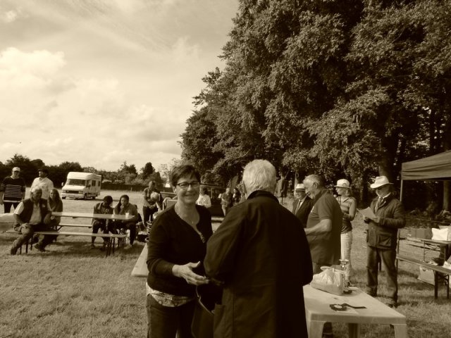 074 Week-end du cheval-Concours Attelage à La Forêt Fouesnant 9-10 juillet 2016