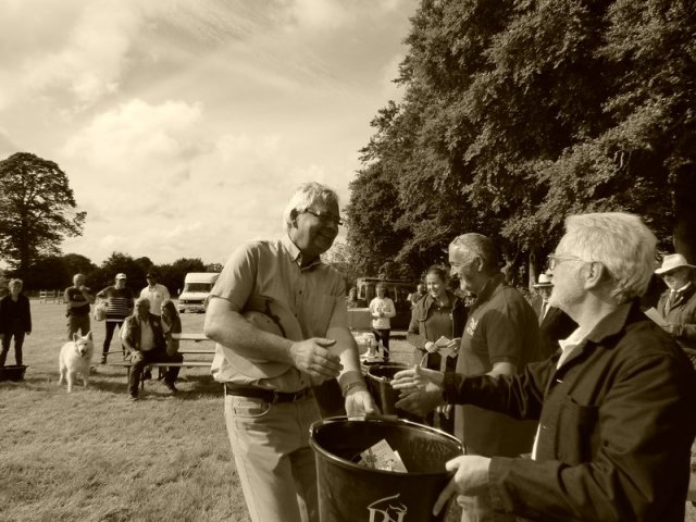 074 Week-end du cheval-Concours Attelage à La Forêt Fouesnant 9-10 juillet 2016