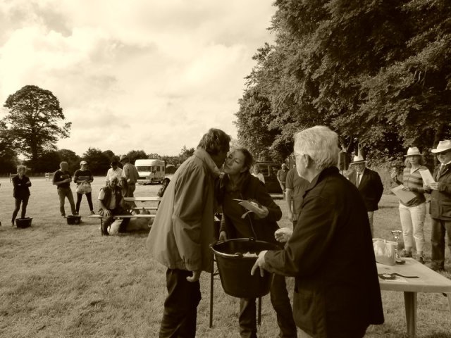 074 Week-end du cheval-Concours Attelage à La Forêt Fouesnant 9-10 juillet 2016