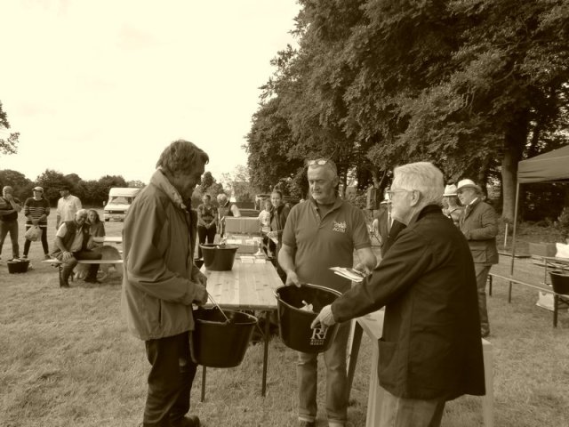 074 Week-end du cheval-Concours Attelage à La Forêt Fouesnant 9-10 juillet 2016