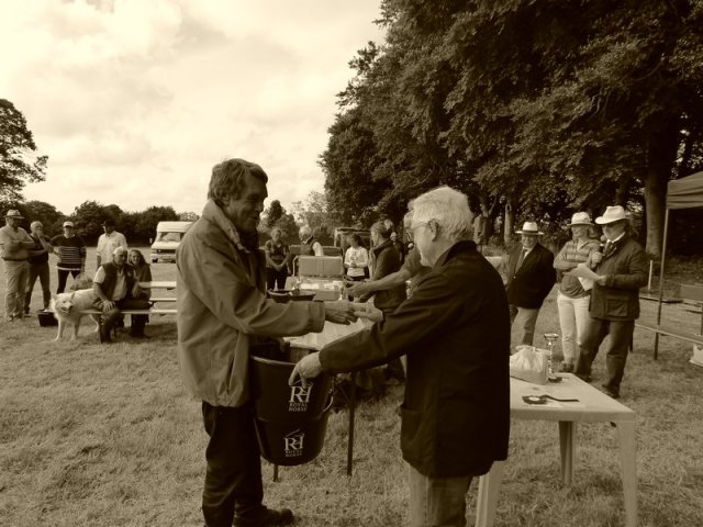 074 Week-end du cheval-Concours Attelage à La Forêt Fouesnant 9-10 juillet 2016