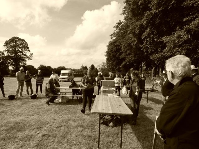 074 Week-end du cheval-Concours Attelage à La Forêt Fouesnant 9-10 juillet 2016