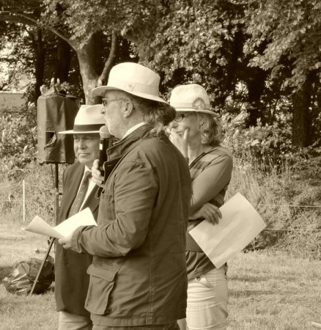 074 Week-end du cheval-Concours Attelage à La Forêt Fouesnant 9-10 juillet 2016