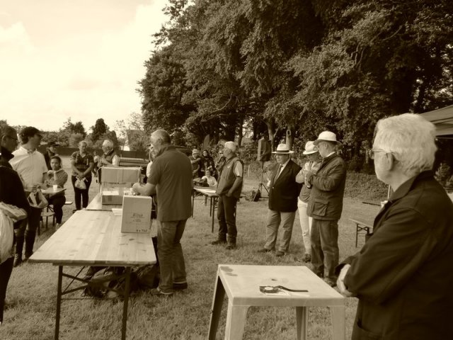 074 Week-end du cheval-Concours Attelage à La Forêt Fouesnant 9-10 juillet 2016