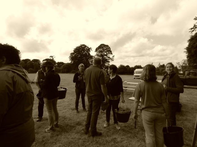 074 Week-end du cheval-Concours Attelage à La Forêt Fouesnant 9-10 juillet 2016
