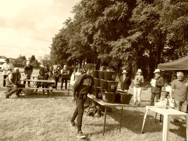 074 Week-end du cheval-Concours Attelage à La Forêt Fouesnant 9-10 juillet 2016