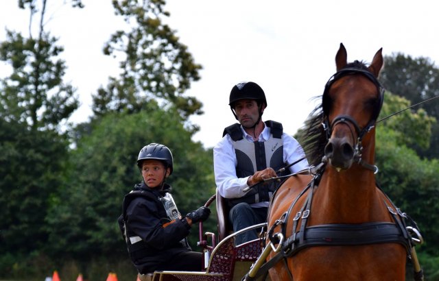 074 Week-end du cheval-Concours Attelage à La Forêt Fouesnant 9-10 juillet 2016