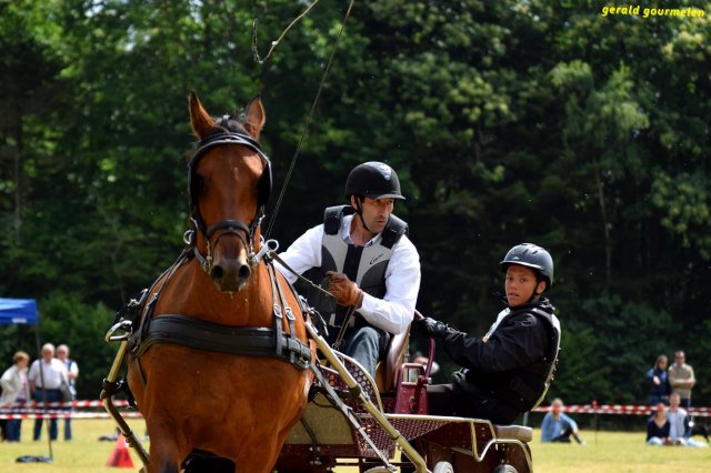 074 Week-end du cheval-Concours Attelage à La Forêt Fouesnant 9-10 juillet 2016
