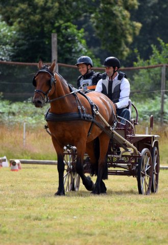074 Week-end du cheval-Concours Attelage à La Forêt Fouesnant 9-10 juillet 2016