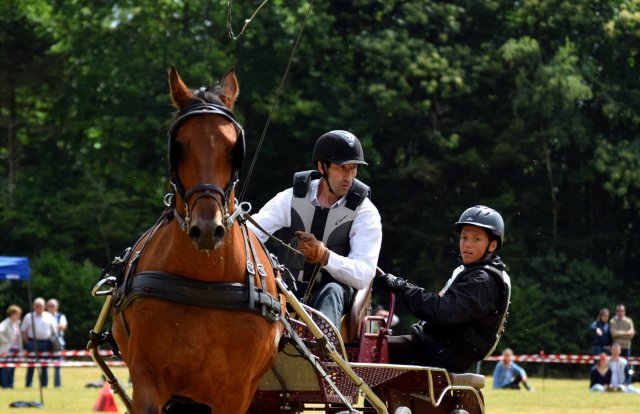 074 Week-end du cheval-Concours Attelage à La Forêt Fouesnant 9-10 juillet 2016