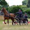074 Week-end du cheval-Concours Attelage à La Forêt Fouesnant 9-10 juillet 2016
