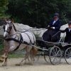 074 Week-end du cheval-Concours Attelage à La Forêt Fouesnant 9-10 juillet 2016