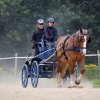 074 Week-end du cheval-Concours Attelage à La Forêt Fouesnant 9-10 juillet 2016