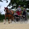 074 Week-end du cheval-Concours Attelage à La Forêt Fouesnant 9-10 juillet 2016