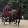 074 Week-end du cheval-Concours Attelage à La Forêt Fouesnant 9-10 juillet 2016