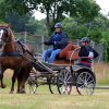 074 Week-end du cheval-Concours Attelage à La Forêt Fouesnant 9-10 juillet 2016