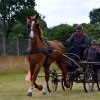 074 Week-end du cheval-Concours Attelage à La Forêt Fouesnant 9-10 juillet 2016