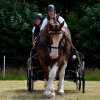 074 Week-end du cheval-Concours Attelage à La Forêt Fouesnant 9-10 juillet 2016